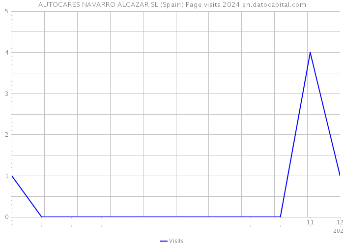 AUTOCARES NAVARRO ALCAZAR SL (Spain) Page visits 2024 