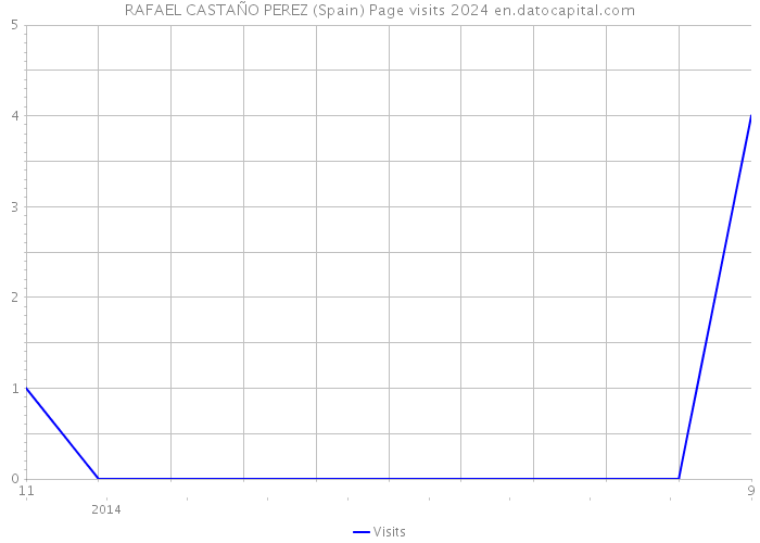 RAFAEL CASTAÑO PEREZ (Spain) Page visits 2024 