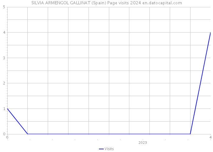 SILVIA ARMENGOL GALLINAT (Spain) Page visits 2024 