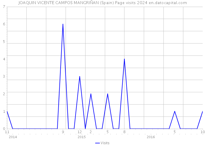 JOAQUIN VICENTE CAMPOS MANGRIÑAN (Spain) Page visits 2024 