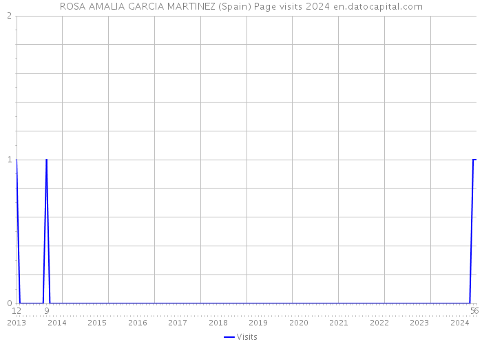 ROSA AMALIA GARCIA MARTINEZ (Spain) Page visits 2024 