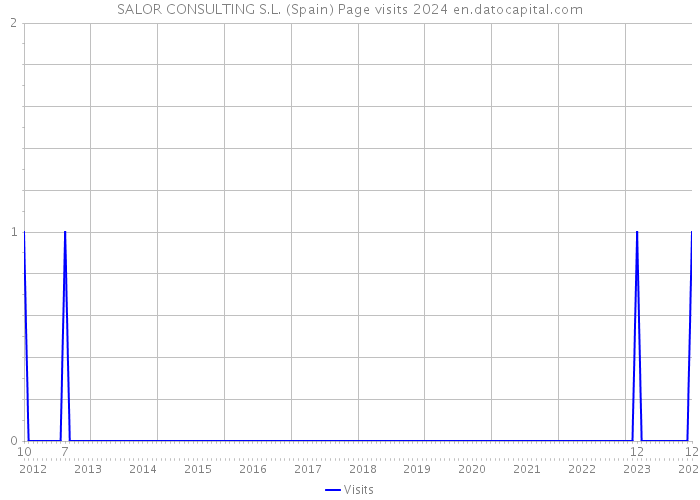 SALOR CONSULTING S.L. (Spain) Page visits 2024 
