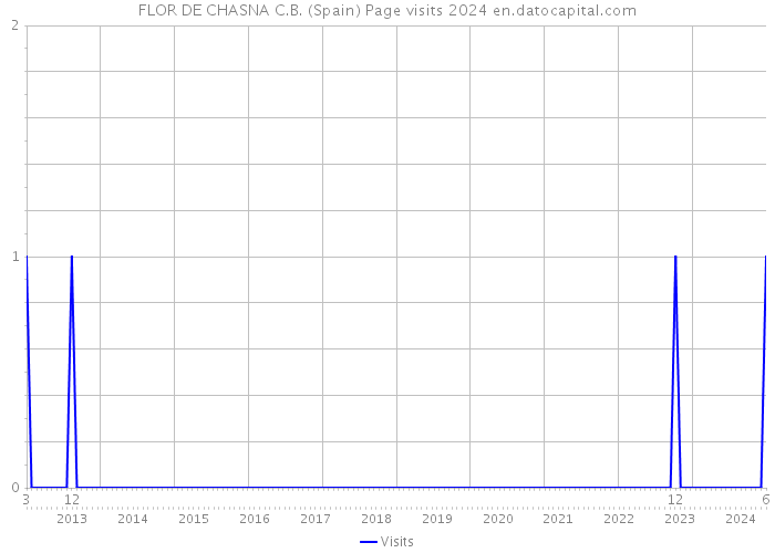 FLOR DE CHASNA C.B. (Spain) Page visits 2024 