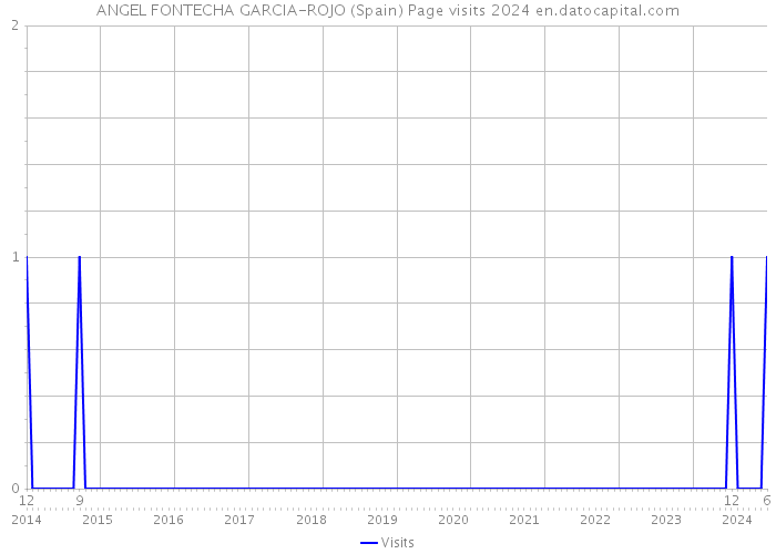 ANGEL FONTECHA GARCIA-ROJO (Spain) Page visits 2024 