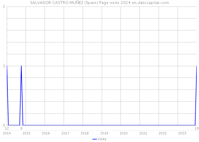 SALVADOR CASTRO MUÑEZ (Spain) Page visits 2024 