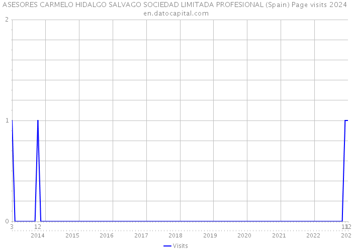 ASESORES CARMELO HIDALGO SALVAGO SOCIEDAD LIMITADA PROFESIONAL (Spain) Page visits 2024 