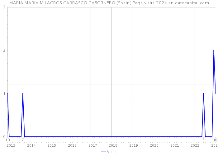 MARIA MARIA MILAGROS CARRASCO CABORNERO (Spain) Page visits 2024 