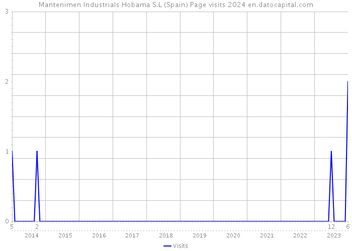 Mantenimen Industrials Hobama S.L (Spain) Page visits 2024 