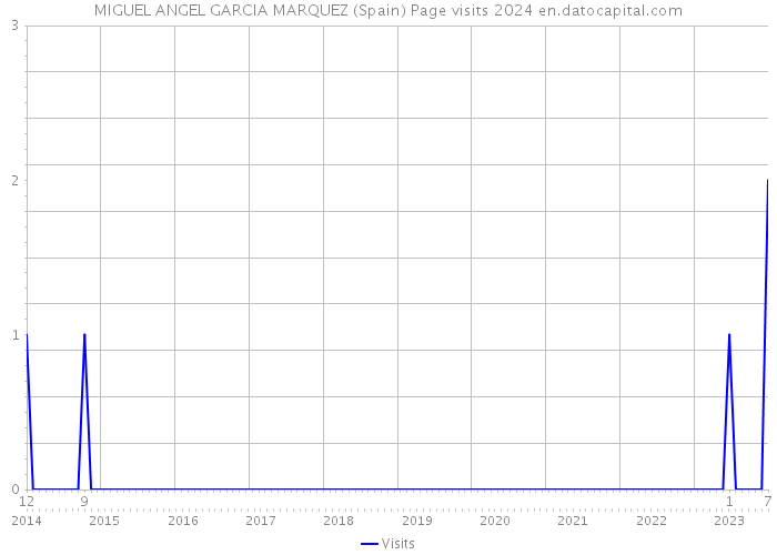 MIGUEL ANGEL GARCIA MARQUEZ (Spain) Page visits 2024 