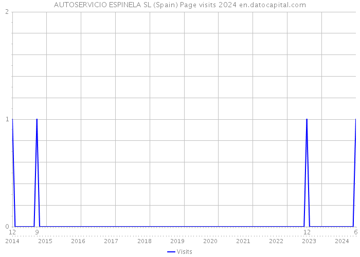 AUTOSERVICIO ESPINELA SL (Spain) Page visits 2024 