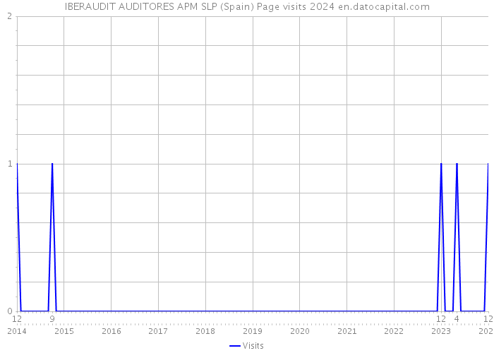 IBERAUDIT AUDITORES APM SLP (Spain) Page visits 2024 