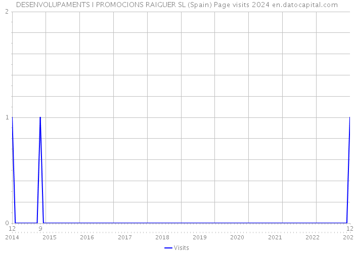 DESENVOLUPAMENTS I PROMOCIONS RAIGUER SL (Spain) Page visits 2024 