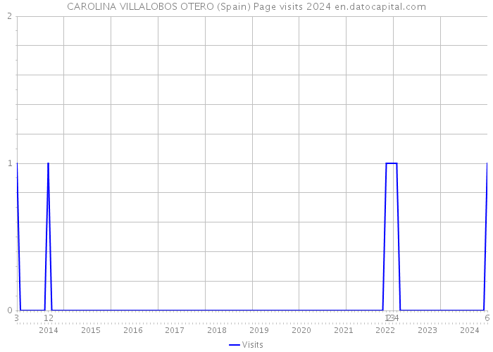 CAROLINA VILLALOBOS OTERO (Spain) Page visits 2024 