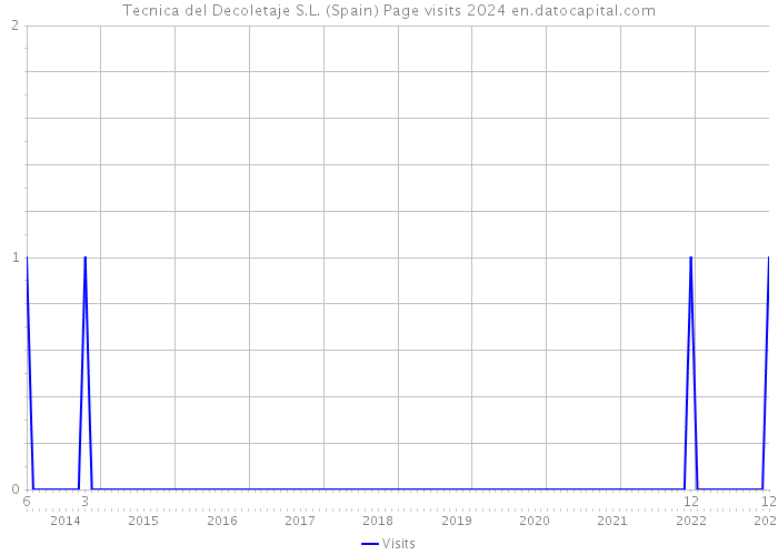 Tecnica del Decoletaje S.L. (Spain) Page visits 2024 