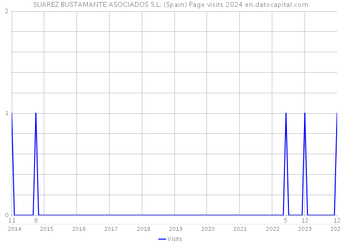 SUAREZ BUSTAMANTE ASOCIADOS S.L. (Spain) Page visits 2024 