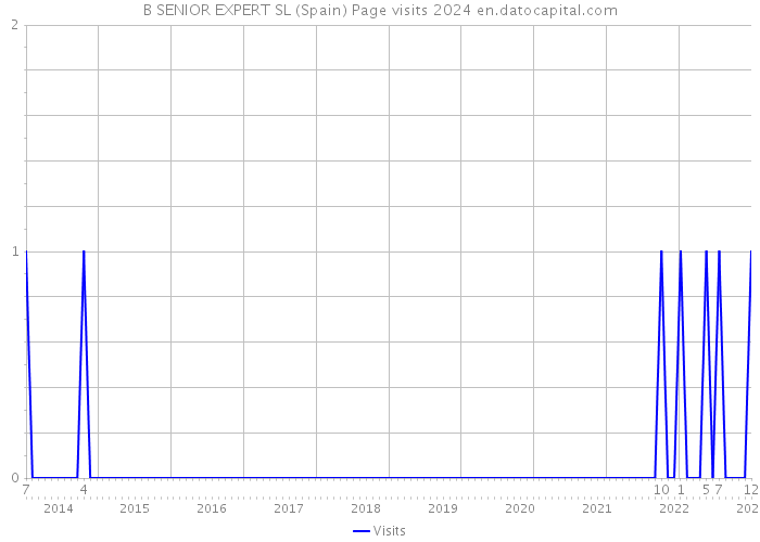 B SENIOR EXPERT SL (Spain) Page visits 2024 