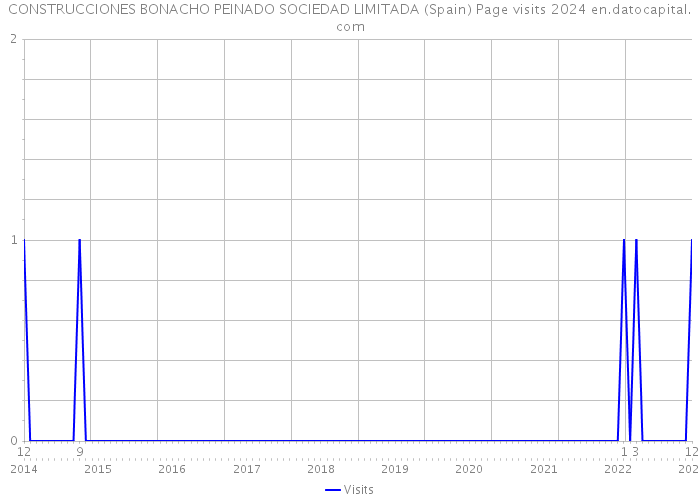 CONSTRUCCIONES BONACHO PEINADO SOCIEDAD LIMITADA (Spain) Page visits 2024 
