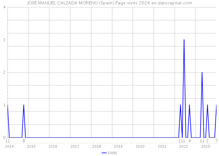 JOSE MANUEL CALZADA MORENO (Spain) Page visits 2024 