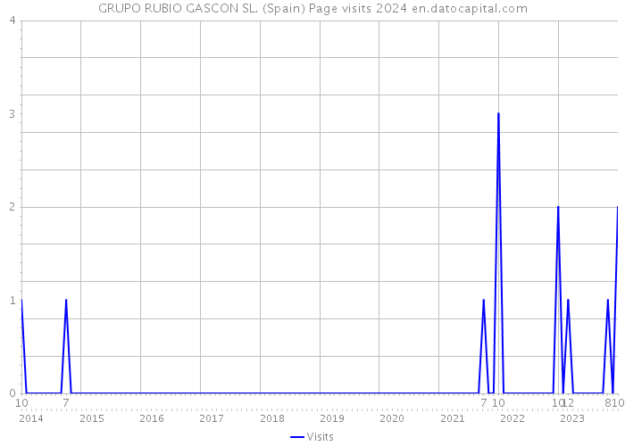 GRUPO RUBIO GASCON SL. (Spain) Page visits 2024 