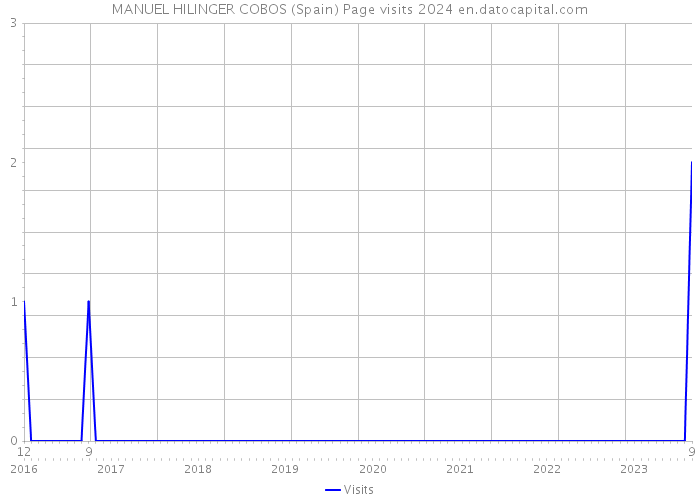 MANUEL HILINGER COBOS (Spain) Page visits 2024 