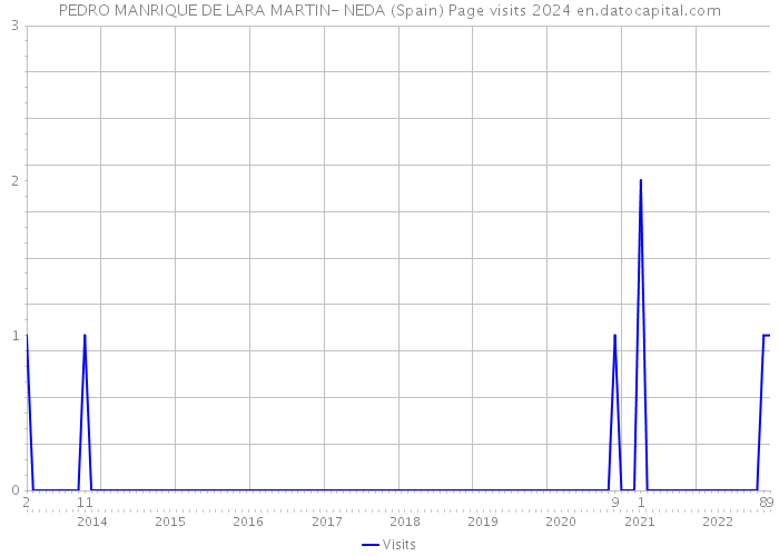 PEDRO MANRIQUE DE LARA MARTIN- NEDA (Spain) Page visits 2024 