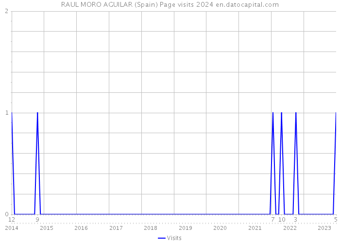 RAUL MORO AGUILAR (Spain) Page visits 2024 