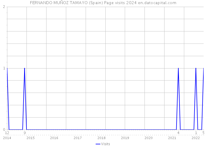 FERNANDO MUÑOZ TAMAYO (Spain) Page visits 2024 