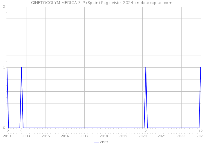 GINETOCOLYM MEDICA SLP (Spain) Page visits 2024 
