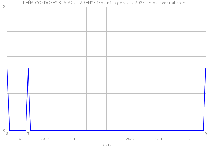 PEÑA CORDOBESISTA AGUILARENSE (Spain) Page visits 2024 
