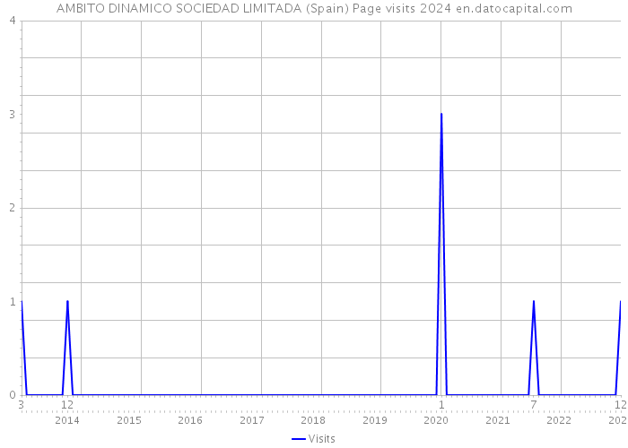 AMBITO DINAMICO SOCIEDAD LIMITADA (Spain) Page visits 2024 