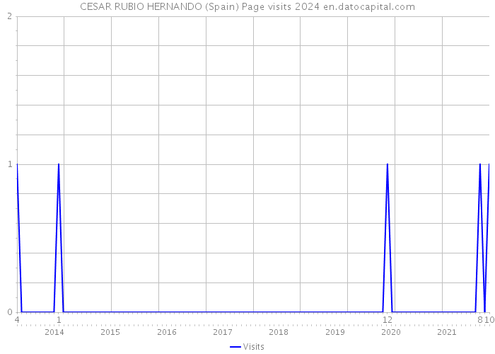 CESAR RUBIO HERNANDO (Spain) Page visits 2024 