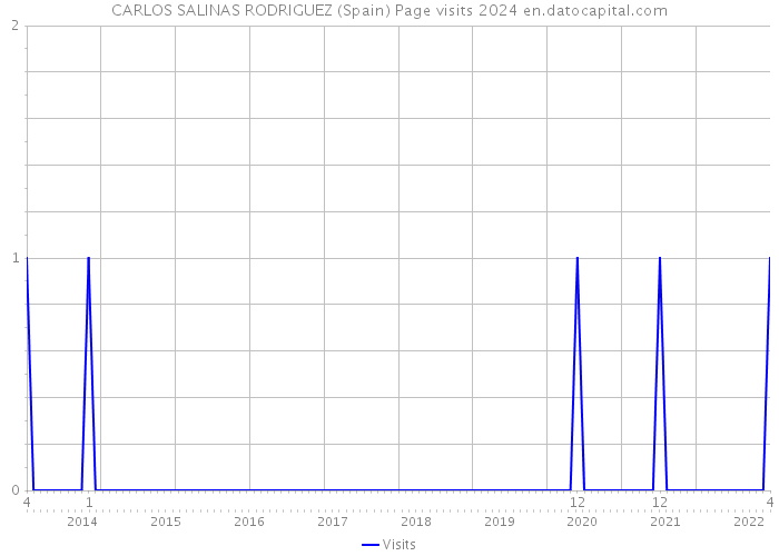 CARLOS SALINAS RODRIGUEZ (Spain) Page visits 2024 