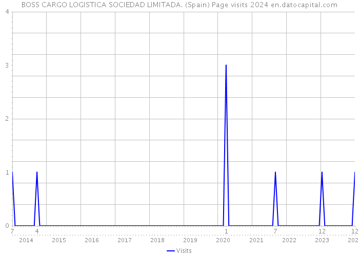 BOSS CARGO LOGISTICA SOCIEDAD LIMITADA. (Spain) Page visits 2024 