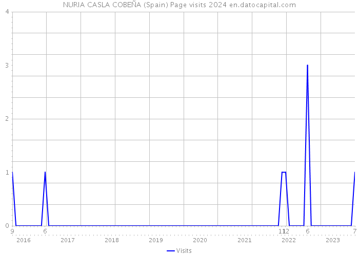 NURIA CASLA COBEÑA (Spain) Page visits 2024 