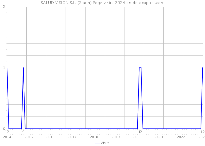 SALUD VISION S.L. (Spain) Page visits 2024 