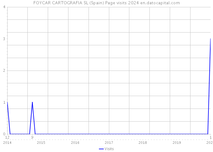 FOYCAR CARTOGRAFIA SL (Spain) Page visits 2024 