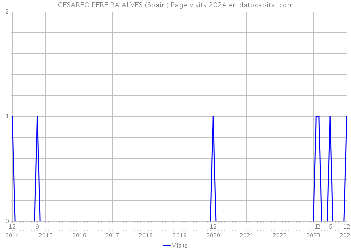 CESAREO PEREIRA ALVES (Spain) Page visits 2024 