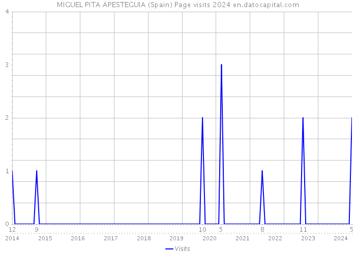 MIGUEL PITA APESTEGUIA (Spain) Page visits 2024 
