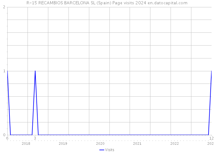R-15 RECAMBIOS BARCELONA SL (Spain) Page visits 2024 