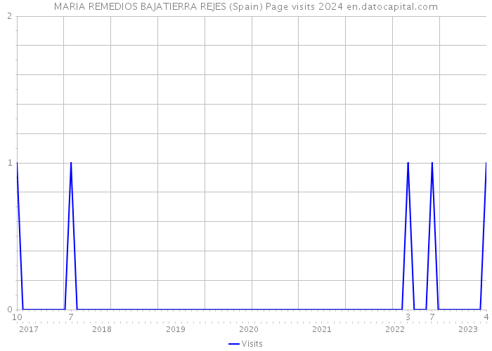 MARIA REMEDIOS BAJATIERRA REJES (Spain) Page visits 2024 