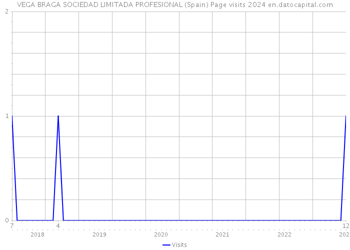 VEGA BRAGA SOCIEDAD LIMITADA PROFESIONAL (Spain) Page visits 2024 