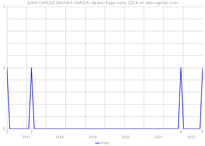 JUAN CARLOS SALINAS GARCIA (Spain) Page visits 2024 