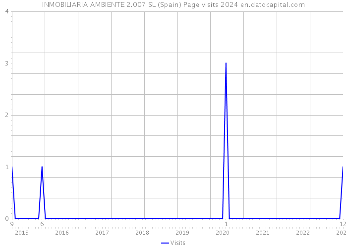 INMOBILIARIA AMBIENTE 2.007 SL (Spain) Page visits 2024 