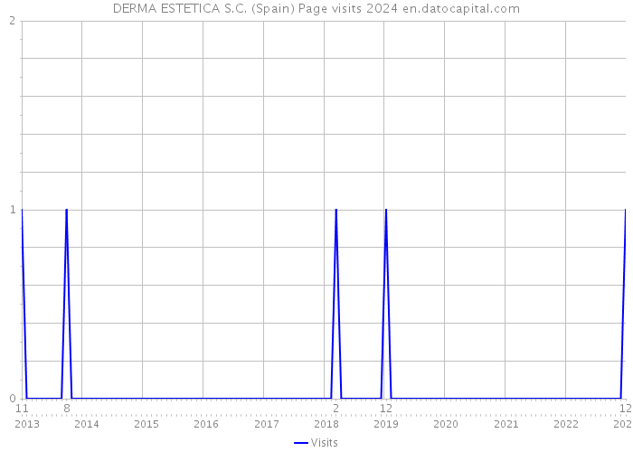DERMA ESTETICA S.C. (Spain) Page visits 2024 