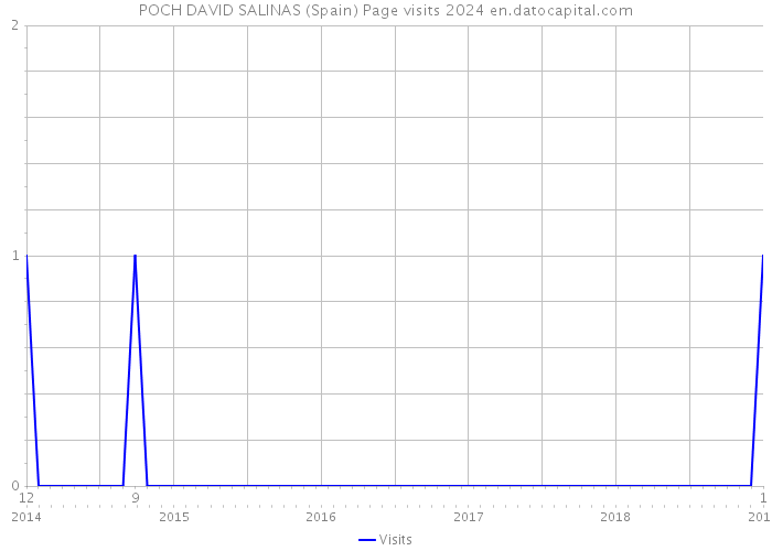 POCH DAVID SALINAS (Spain) Page visits 2024 