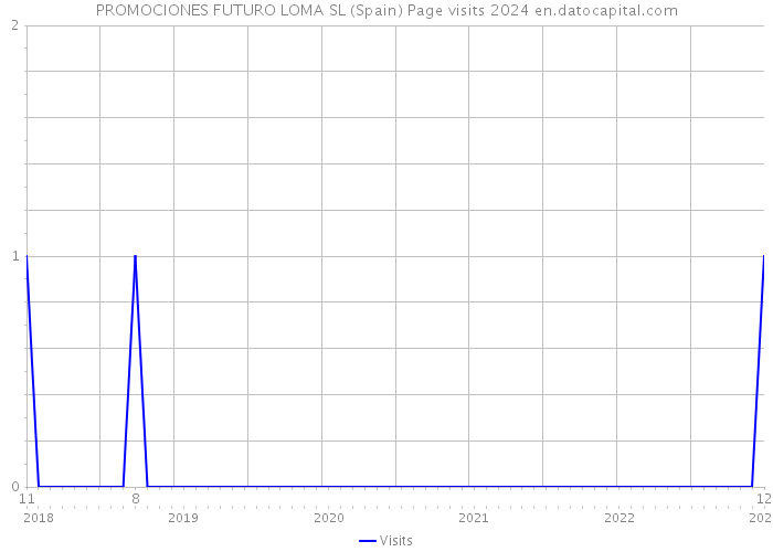 PROMOCIONES FUTURO LOMA SL (Spain) Page visits 2024 