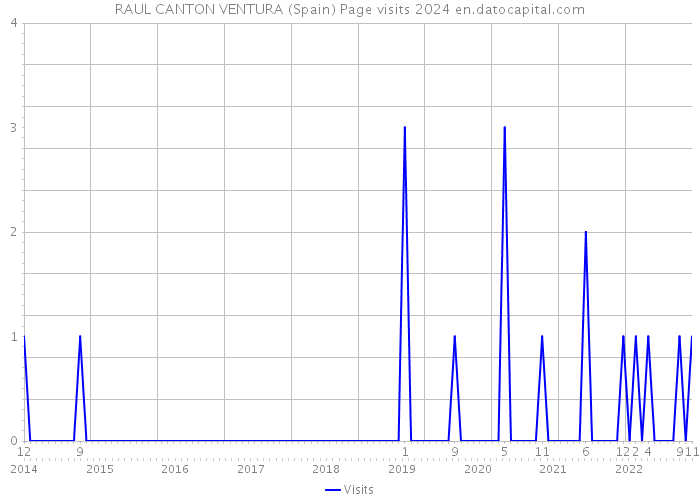 RAUL CANTON VENTURA (Spain) Page visits 2024 