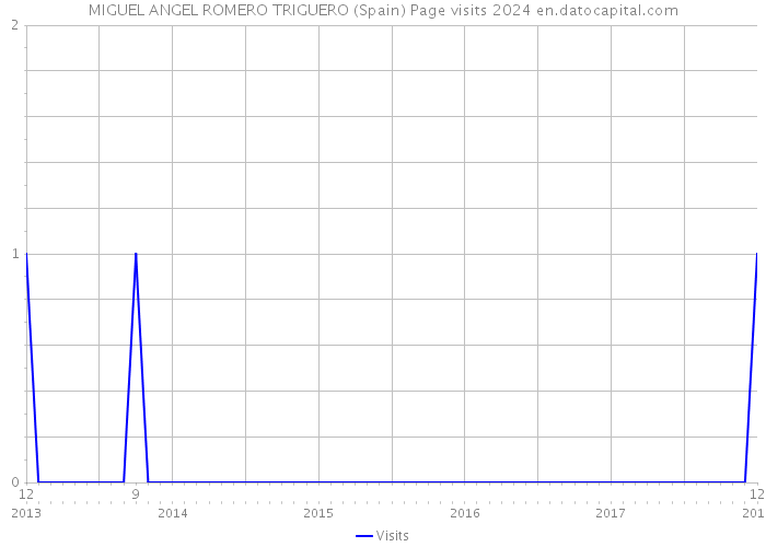 MIGUEL ANGEL ROMERO TRIGUERO (Spain) Page visits 2024 