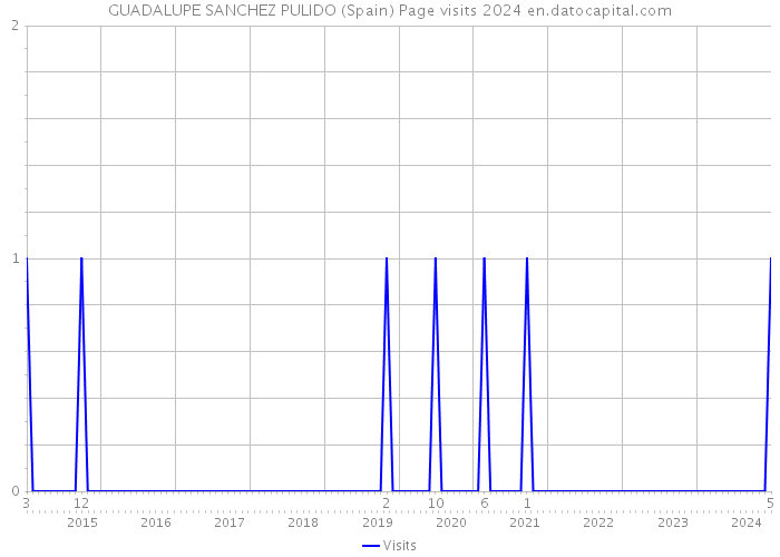 GUADALUPE SANCHEZ PULIDO (Spain) Page visits 2024 