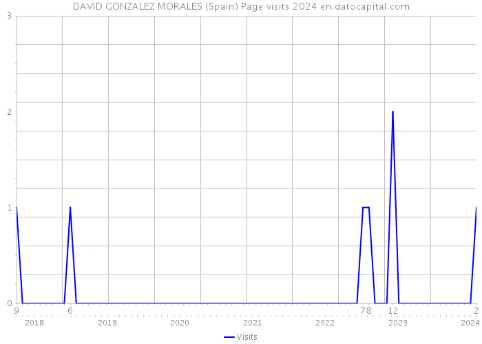 DAVID GONZALEZ MORALES (Spain) Page visits 2024 
